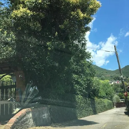 Pensión Stanza Privata Oleandro *